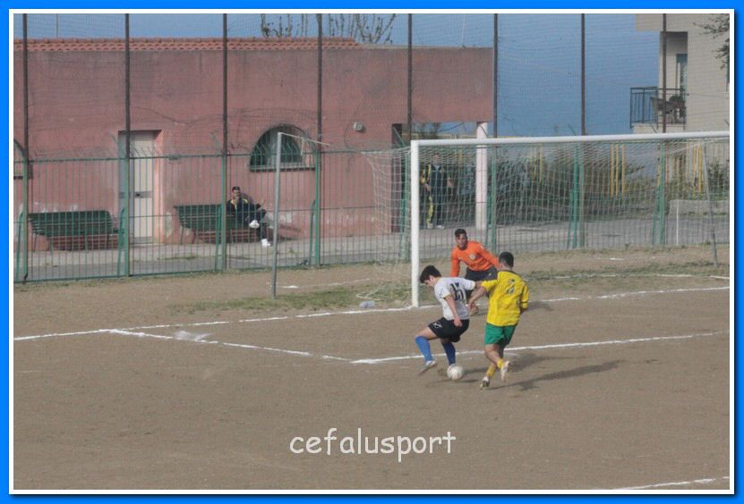 130406 delfini 176_tn.jpg